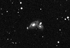 arp274