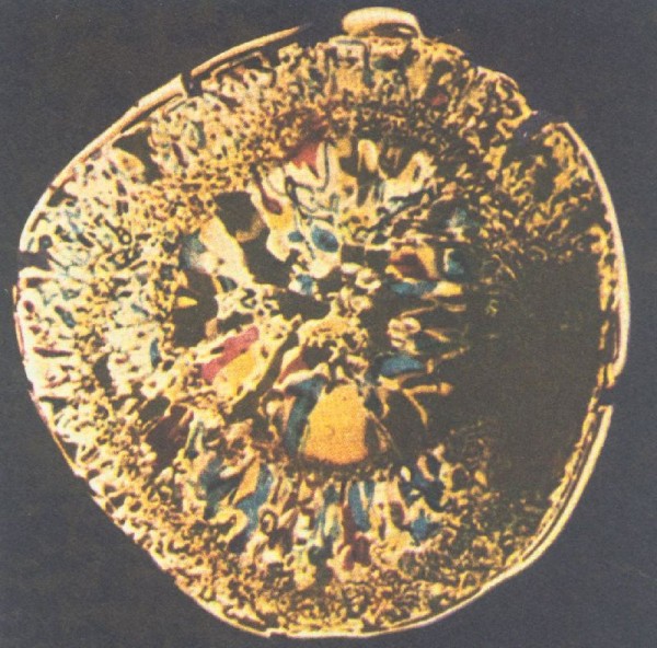 polarizovana kroupa