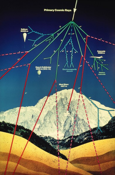 neutrons