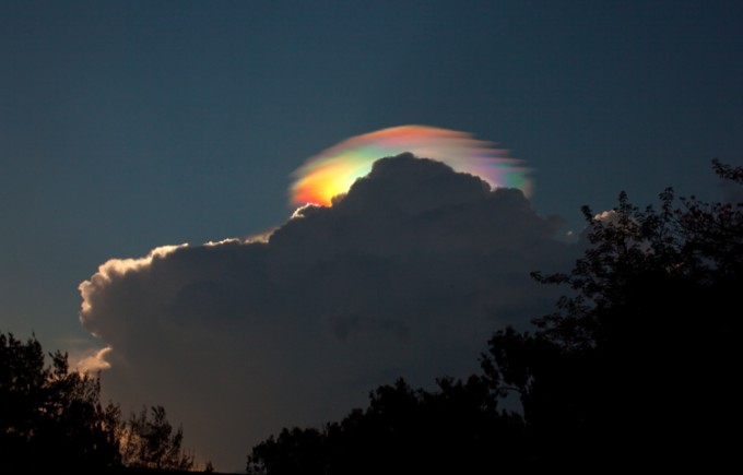 pileus